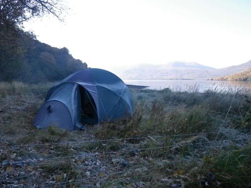 Best bear protection for tent/camp?